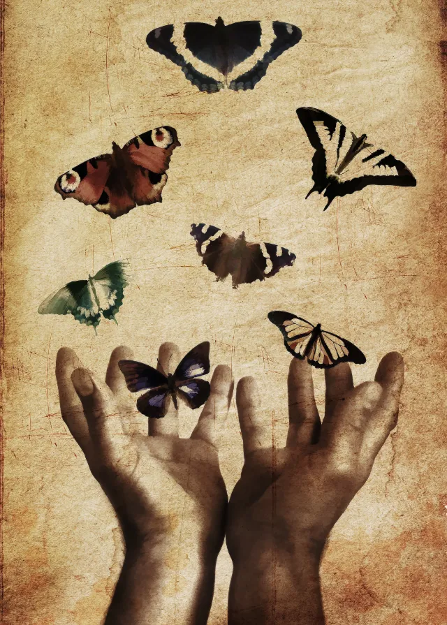 de-hand-nature-flying